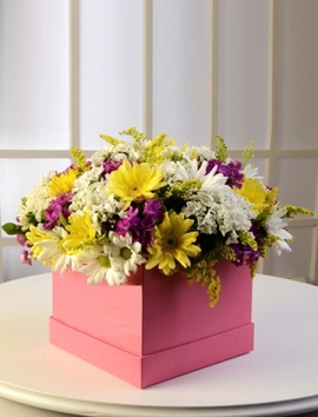 Kutuda Renkli Kırçiçekleri